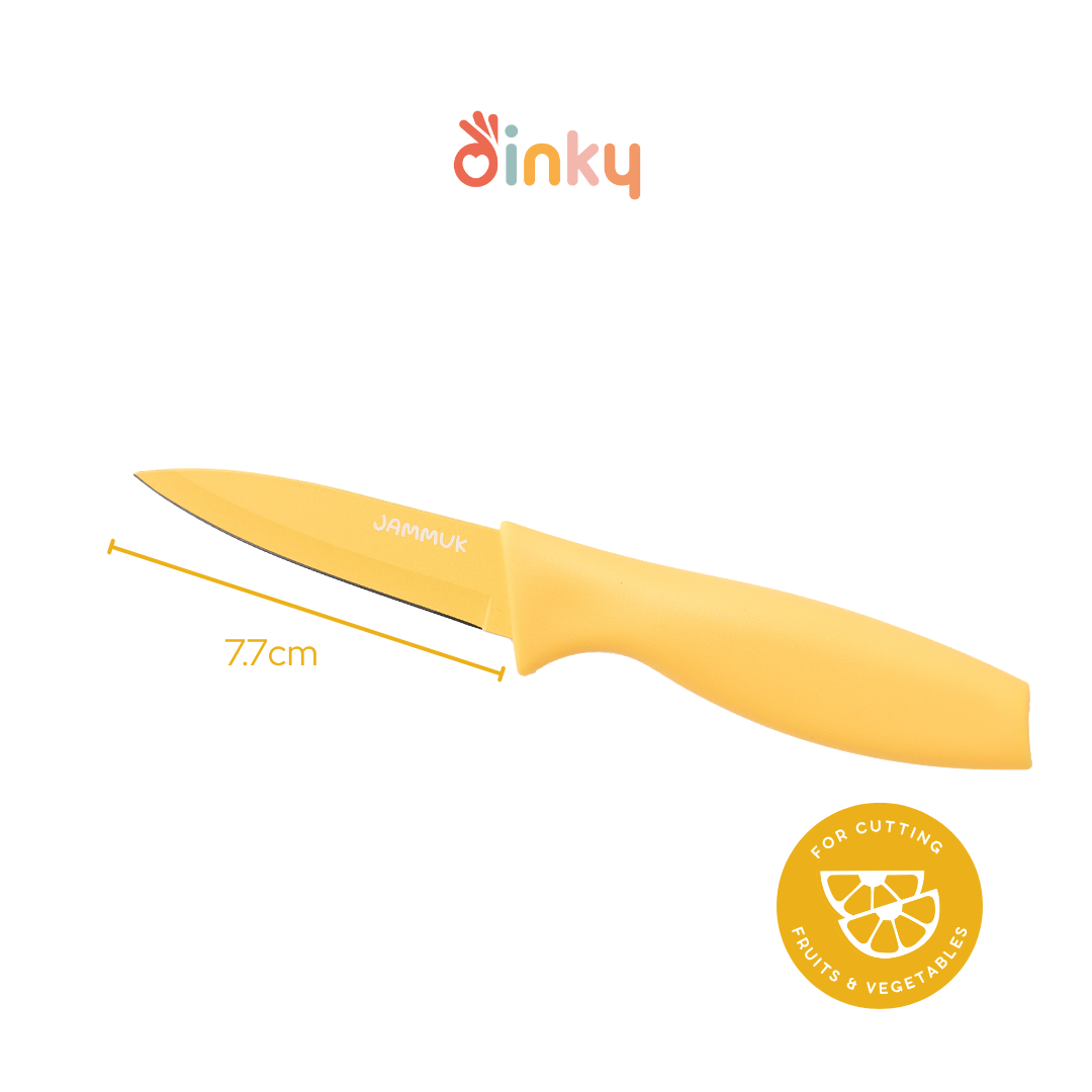 Stainless Steel Cutting Knifes and Double Sided Chopping Board