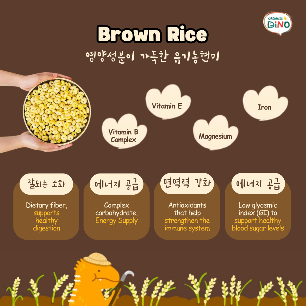Organic Brown Rice Cereal Rings 30g | Non Fried | No Artificial Additives for 12m+