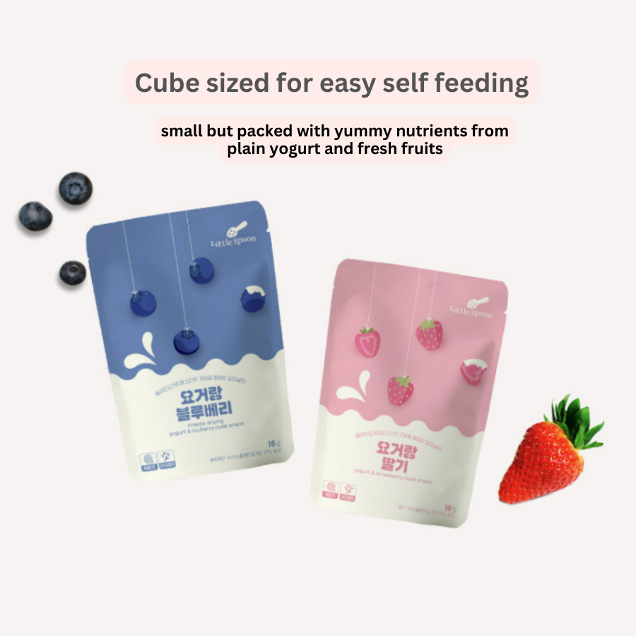 Freeze Dried Fruit Snack (South Korea)