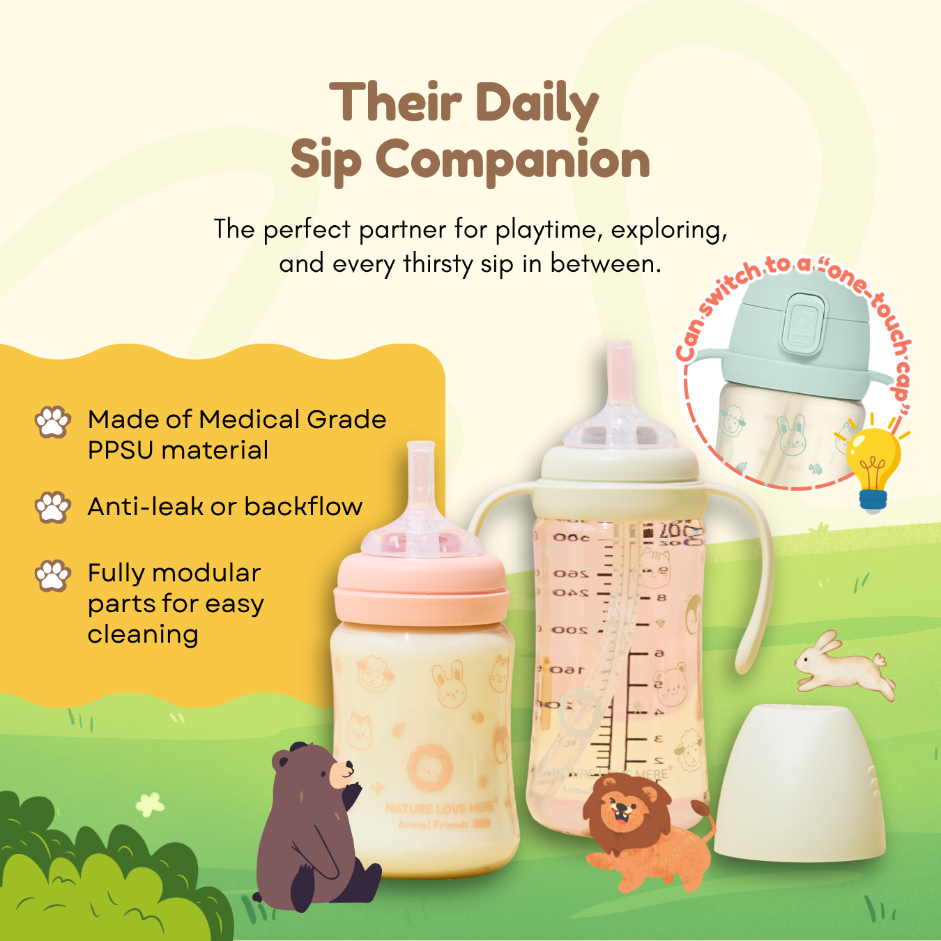 Anti-Leak Lightweight Straw Bottle | Daily Sip Companion | Easy to Clean
