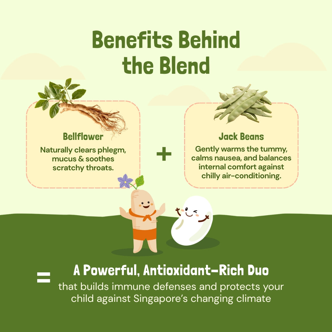 Bellflower and Sword Bean Drink | No Sugar Added | 12 Months Above