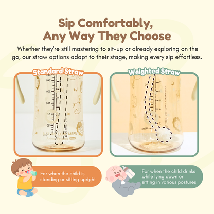 Anti-Leak Lightweight Straw Bottle | Daily Sip Companion | Easy to Clean