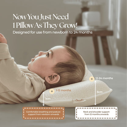 Baby Breathable Pillow with Reversible Cover | Up to 24 Months