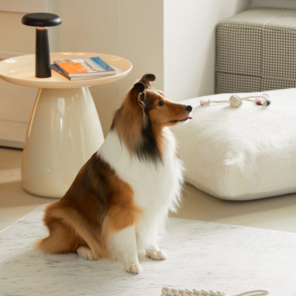 Korea Premium Pet Anti Slip Mat | For Grip , Comfort & Safety