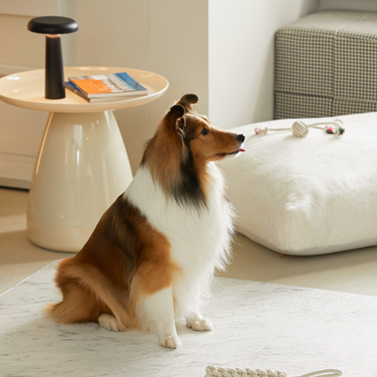 Korea Premium Pet Anti Slip Mat | For Grip , Comfort & Safety