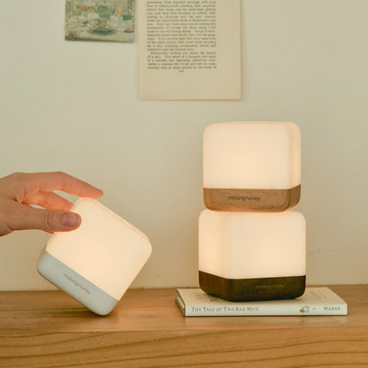 Flipping Nursing Light